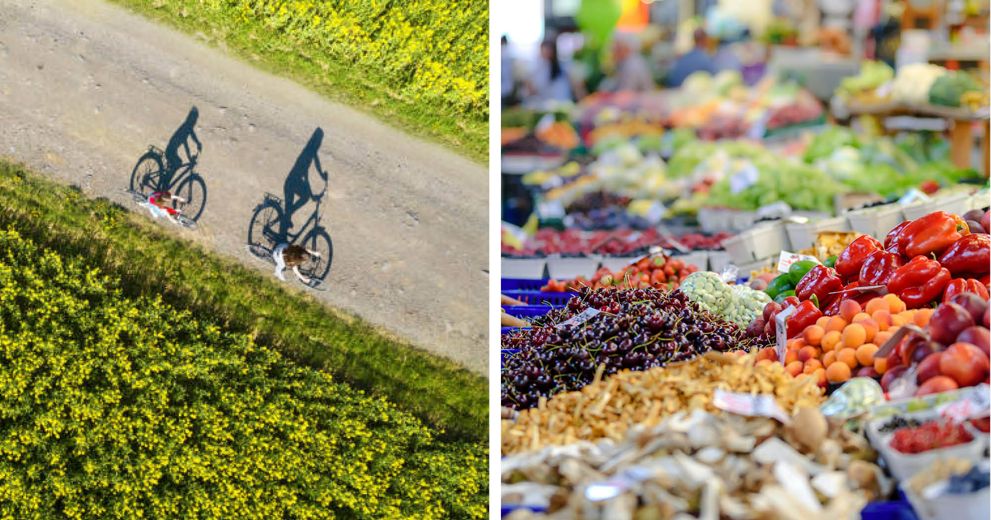 Rendez-vous en terre agricole - circuits v�los et saveurs locales