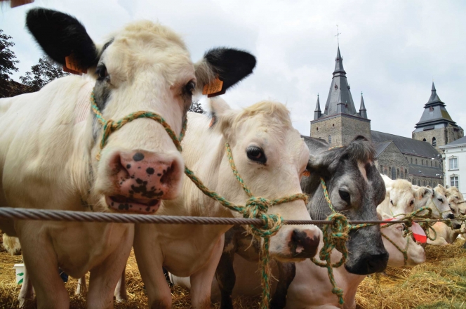 Foire Agricole 2026 